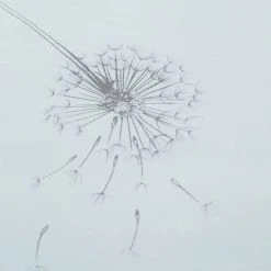 Dunelm Dragonflies Seafoam Reversible Duvet Cover And Pillowcase Set -pillowcase shop 1000159842 alt03